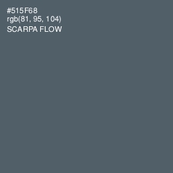 #515F68 - Scarpa Flow Color Image